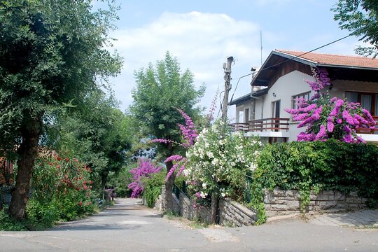 Tour image 11